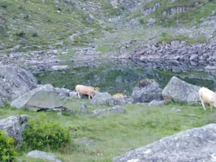 Le studio d' EMI Argelès-Gazost Esterno foto